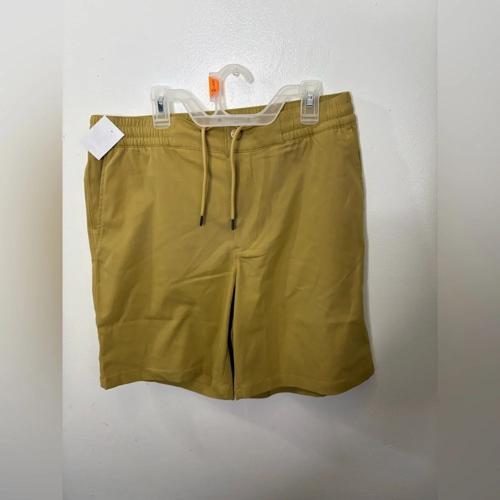Light stride north face short size 30